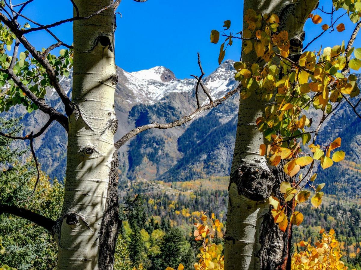 Cascade Village 301, Durango Co Eksteriør billede